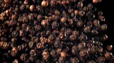 Kara biber yukarı uçar ve aşağı düşer. 1000 fps 'de yüksek hızlı bir kamerayla çekildi. Yüksek kaliteli FullHD görüntüler