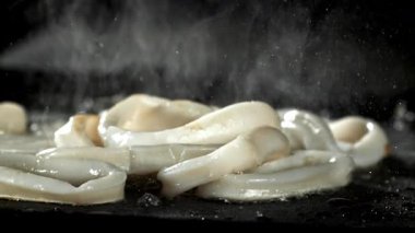 Mürekkep balığı halkaları tavada kızarır. 1000 fps 'de yüksek hızlı bir kamerayla çekildi. Yüksek kaliteli FullHD görüntüler