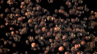 Kara biber yukarı uçar ve aşağı düşer. 1000 fps 'de yüksek hızlı bir kamerayla çekildi. Yüksek kaliteli FullHD görüntüler