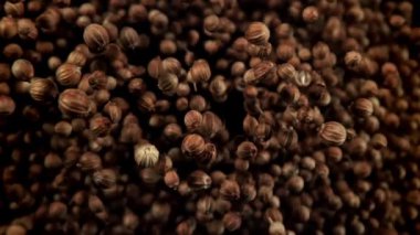 Kişniş taneleri uçar ve düşer. 1000 fps 'de yüksek hızlı bir kamerayla çekildi. Yüksek kaliteli FullHD görüntüler