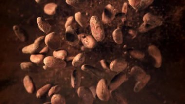 Kakao çekirdekleri uçar ve düşer. 1000 fps 'de yüksek hızlı bir kamerayla çekildi. Yüksek kaliteli FullHD görüntüler