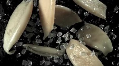 Kalamar yukarı uçar ve düşer. 1000 fps 'de yüksek hızlı bir kamerayla çekildi. Yüksek kaliteli FullHD görüntüler