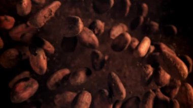 Kakao çekirdekleri uçar ve düşer. 1000 fps 'de yüksek hızlı bir kamerayla çekildi. Yüksek kaliteli FullHD görüntüler