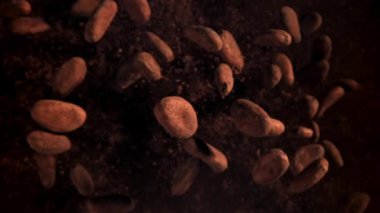 Kakao çekirdekleri uçar ve düşer. 1000 fps 'de yüksek hızlı bir kamerayla çekildi. Yüksek kaliteli FullHD görüntüler