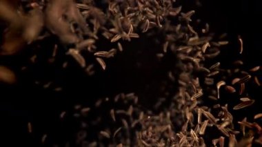 Kimyon tohumları düşer. 1000 fps 'de yüksek hızlı bir kamerayla çekildi. Yüksek kaliteli FullHD görüntüler