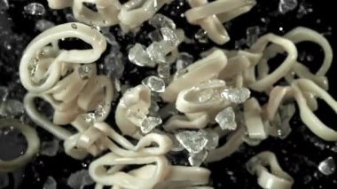 Kalamar halkaları yukarı aşağı uçar. 1000 fps 'de yüksek hızlı bir kamerayla çekildi. Yüksek kaliteli FullHD görüntüler