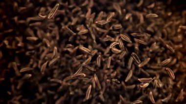 Kimyon bir aşağı bir yukarı uçuyor. 1000 fps 'de yüksek hızlı bir kamerayla çekildi. Yüksek kaliteli FullHD görüntüler