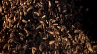 Kimyon bir aşağı bir yukarı uçuyor. 1000 fps 'de yüksek hızlı bir kamerayla çekildi. Yüksek kaliteli FullHD görüntüler