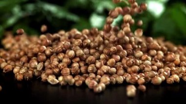 Kişniş masaya düşer. 1000 fps 'de yüksek hızlı bir kamerayla çekildi. Yüksek kaliteli FullHD görüntüler