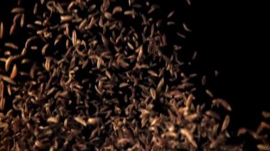 Kimyon bir aşağı bir yukarı uçuyor. 1000 fps 'de yüksek hızlı bir kamerayla çekildi. Yüksek kaliteli FullHD görüntüler