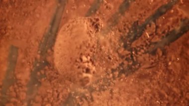 Kakao tozu masaya düşer. 1000 fps 'de yüksek hızlı bir kamerayla çekildi. Yüksek kaliteli FullHD görüntüler