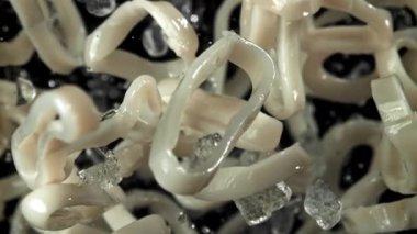 Kalamar halkaları yukarı aşağı uçar. 1000 fps 'de yüksek hızlı bir kamerayla çekildi. Yüksek kaliteli FullHD görüntüler