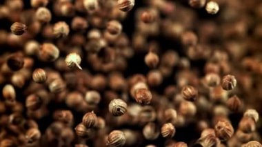 Kişniş taneleri uçar ve düşer. 1000 fps 'de yüksek hızlı bir kamerayla çekildi. Yüksek kaliteli FullHD görüntüler