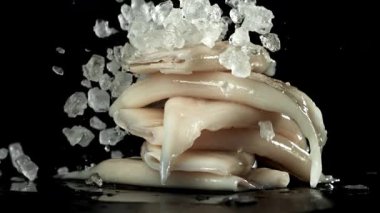 Mürekkep balıklarının cesetlerine buz düşer. 1000 fps 'de yüksek hızlı bir kamerayla çekildi. Yüksek kaliteli FullHD görüntüler