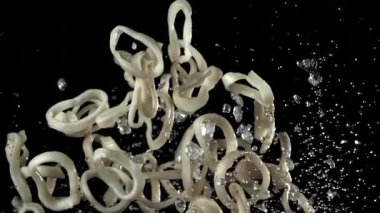 Kalamar halkaları yukarı aşağı uçar. 1000 fps 'de yüksek hızlı bir kamerayla çekildi. Yüksek kaliteli FullHD görüntüler