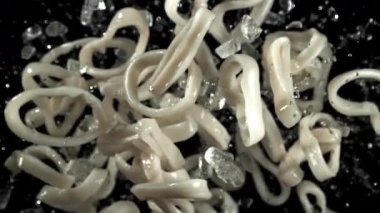 Kalamar halkaları yukarı aşağı uçar. 1000 fps 'de yüksek hızlı bir kamerayla çekildi. Yüksek kaliteli FullHD görüntüler