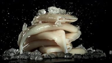 Mürekkep balıklarının cesetlerine buz düşer. 1000 fps 'de yüksek hızlı bir kamerayla çekildi. Yüksek kaliteli FullHD görüntüler