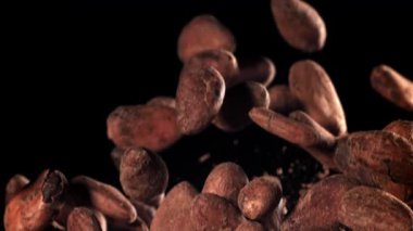 Kakao çekirdekleri uçar ve düşer. 1000 fps 'de yüksek hızlı bir kamerayla çekildi. Yüksek kaliteli FullHD görüntüler