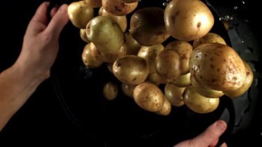 Şef patatesleri tavaya atar. 1000 fps 'de yüksek hızlı bir kamerayla çekildi. Yüksek kaliteli FullHD görüntüler