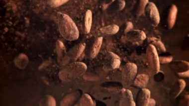 Kakao çekirdekleri uçar ve düşer. 1000 fps 'de yüksek hızlı bir kamerayla çekildi. Yüksek kaliteli FullHD görüntüler