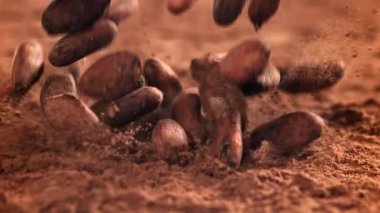 Kakao çekirdekleri masaya düşer. 1000 fps 'de yüksek hızlı bir kamerayla çekildi. Yüksek kaliteli FullHD görüntüler