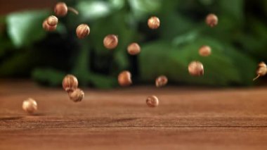 Kişniş taneleri ahşap masaya düşer. 1000 fps 'de yüksek hızlı bir kamerayla çekildi. Yüksek kaliteli FullHD görüntüler