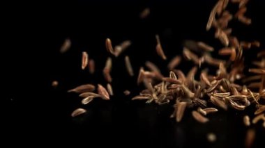 Kimyon tohumları masaya düşer. 1000 fps 'de yüksek hızlı bir kamerayla çekildi. Yüksek kaliteli FullHD görüntüler