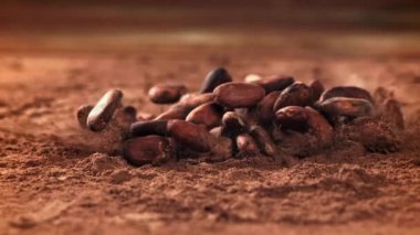 Kakao çekirdeği kakao tozunun üzerine düşer. 1000 fps 'de yüksek hızlı bir kamerayla çekildi. Yüksek kaliteli FullHD görüntüler