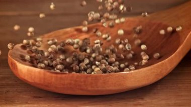 Kişniş taneleri tahta kaşığa düşer. 1000 fps 'de yüksek hızlı bir kamerayla çekildi. Yüksek kaliteli FullHD görüntüler