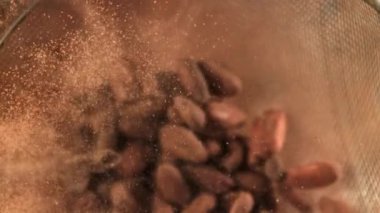 Kakao çekirdekleri uçar ve düşer. 1000 fps 'de yüksek hızlı bir kamerayla çekildi. Yüksek kaliteli FullHD görüntüler