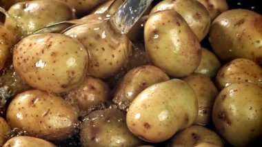 Su taze patateslerin üzerine dökülür. 1000 fps 'de yüksek hızlı bir kamerayla çekildi. Yüksek kaliteli FullHD görüntüler