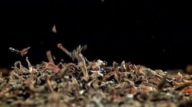 Kuru çay masaya düşer. 1000 fps 'de yüksek hızlı bir kamerayla çekildi. Yüksek kaliteli FullHD görüntüler