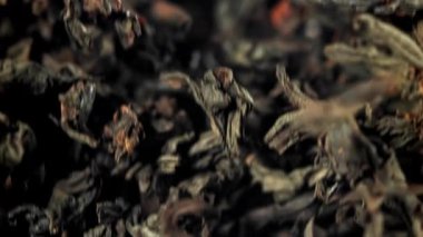 Kuru çay sinekleri yukarı aşağı. 1000 fps 'de yüksek hızlı bir kamerayla çekildi. Yüksek kaliteli FullHD görüntüler