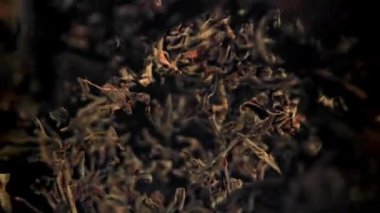 Kuru çay yaprakları dökülüyor. 1000 fps 'de yüksek hızlı bir kamerayla çekildi. Yüksek kaliteli FullHD görüntüler