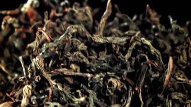 Kuru çay sinekleri yukarı aşağı. 1000 fps 'de yüksek hızlı bir kamerayla çekildi. Yüksek kaliteli FullHD görüntüler