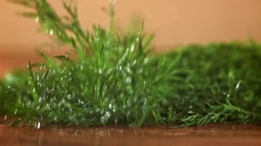 Dill ahşap bir tahtanın üzerine düşer. 1000 fps 'de yüksek hızlı bir kamerayla çekildi. Yüksek kaliteli FullHD görüntüler