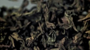 Kuru çay sinekleri yukarı aşağı. 1000 fps 'de yüksek hızlı bir kamerayla çekildi. Yüksek kaliteli FullHD görüntüler