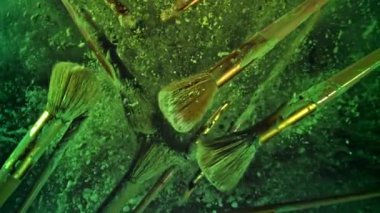 Makyaj fırçaları yukarı aşağı uçar. 1000 fps 'de yüksek hızlı bir kamerayla çekildi. Yüksek kaliteli FullHD görüntüler