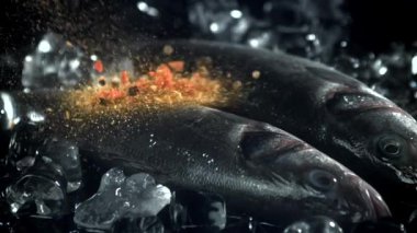 Baharatlar levrek balığına düşer. 1000 fps 'de yüksek hızlı bir kamerayla çekildi. Yüksek kaliteli FullHD görüntüler