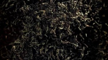 Kuru çay sinekleri yukarı aşağı. 1000 fps 'de yüksek hızlı bir kamerayla çekildi. Yüksek kaliteli FullHD görüntüler