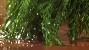 Dill ahşap bir tahtanın üzerine düşer. 1000 fps 'de yüksek hızlı bir kamerayla çekildi. Yüksek kaliteli FullHD görüntüler