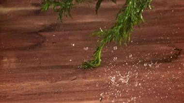 Dill ahşap bir tahtanın üzerine düşer. 1000 fps 'de yüksek hızlı bir kamerayla çekildi. Yüksek kaliteli FullHD görüntüler