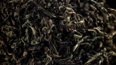 Kuru çay sinekleri yukarı aşağı. 1000 fps 'de yüksek hızlı bir kamerayla çekildi. Yüksek kaliteli FullHD görüntüler