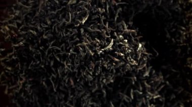 Kuru çay sinekleri yukarı aşağı. 1000 fps 'de yüksek hızlı bir kamerayla çekildi. Yüksek kaliteli FullHD görüntüler