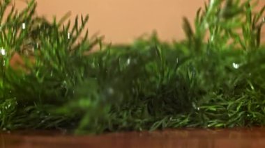 Dill ahşap bir tahtanın üzerine düşer. 1000 fps 'de yüksek hızlı bir kamerayla çekildi. Yüksek kaliteli FullHD görüntüler