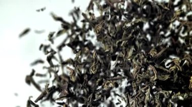 Kuru çay sinekleri yukarı aşağı. 1000 fps 'de yüksek hızlı bir kamerayla çekildi. Yüksek kaliteli FullHD görüntüler