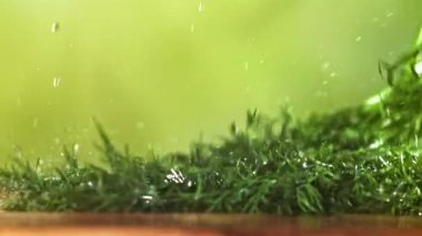 Dill ahşap bir tahtanın üzerine düşer. 1000 fps 'de yüksek hızlı bir kamerayla çekildi. Yüksek kaliteli FullHD görüntüler
