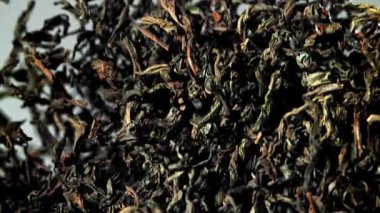 Kuru çay sinekleri yukarı aşağı. 1000 fps 'de yüksek hızlı bir kamerayla çekildi. Yüksek kaliteli FullHD görüntüler