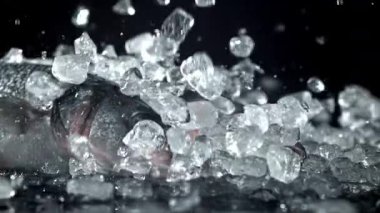 Buz levrek balığının üzerine düşer. 1000 fps 'de yüksek hızlı bir kamerayla çekildi. Yüksek kaliteli FullHD görüntüler