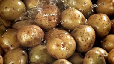 Su taze patateslerin üzerine dökülür. 1000 fps 'de yüksek hızlı bir kamerayla çekildi. Yüksek kaliteli FullHD görüntüler